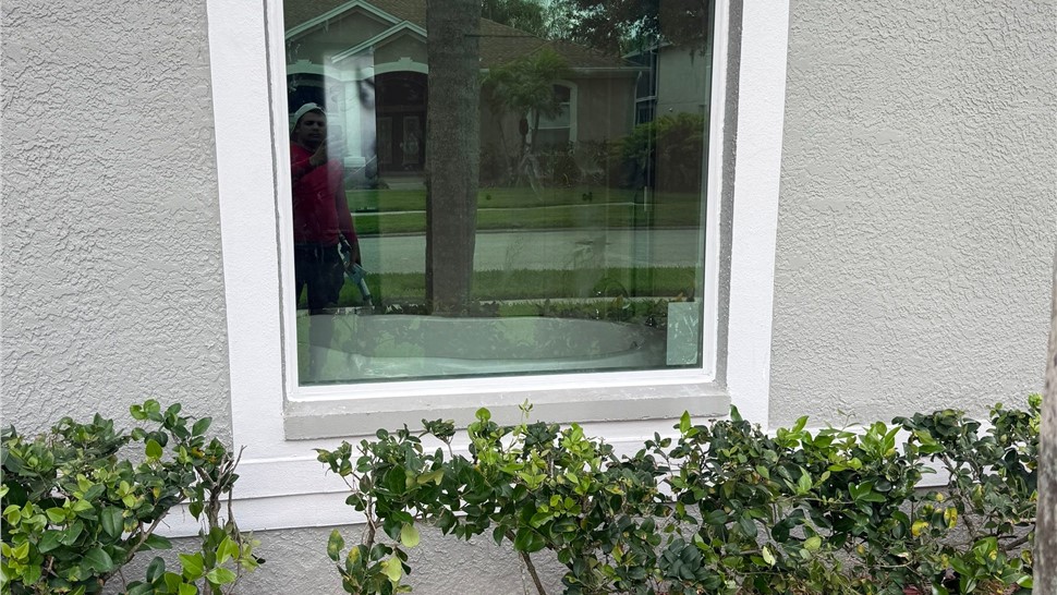 Doors, Windows Project in Lutz, Florida by Statewide Windows & Doors