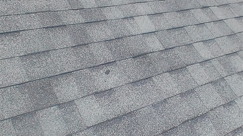Roofing Project in Wellington, Florida by Statewide Windows & Doors