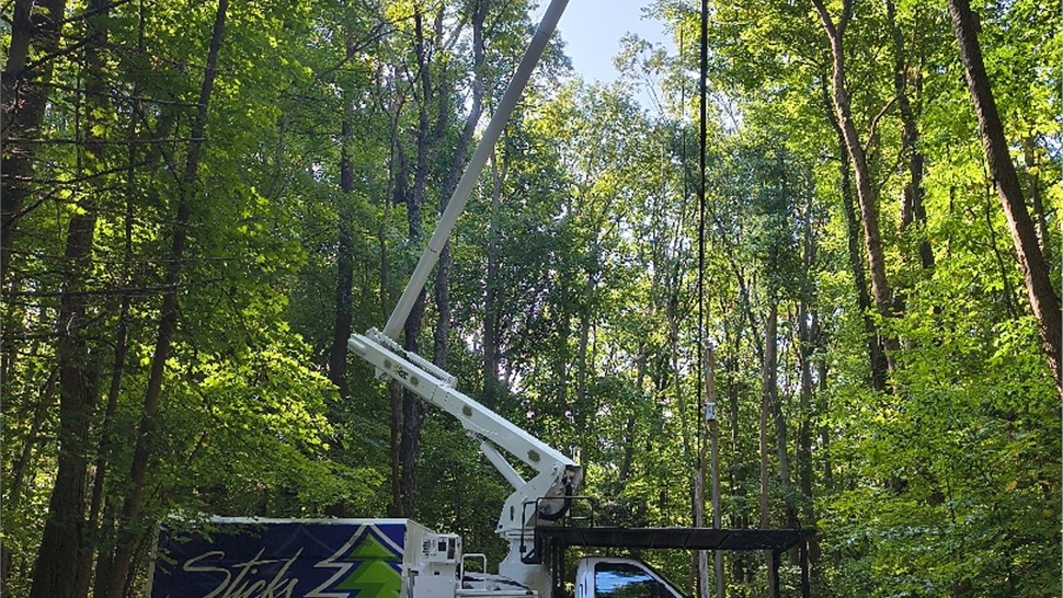 Tree Removal - Crane Removal Photo 93