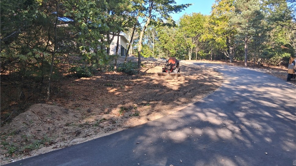 Land Clearing Photo 77