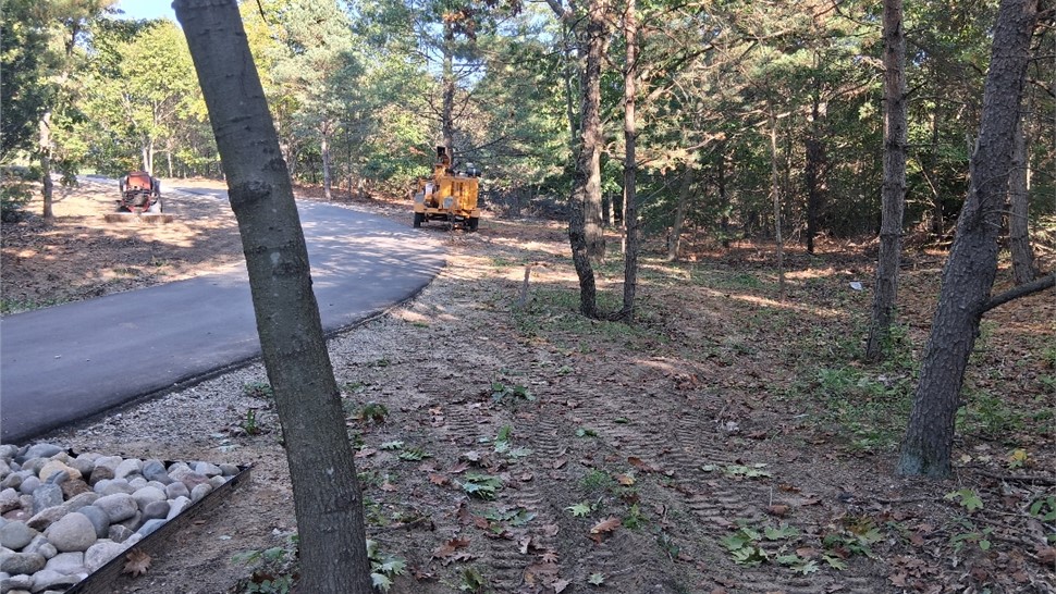 Land Clearing Photo 72