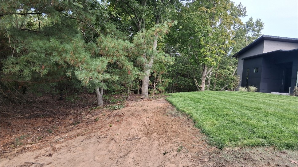 Land Clearing Photo 52