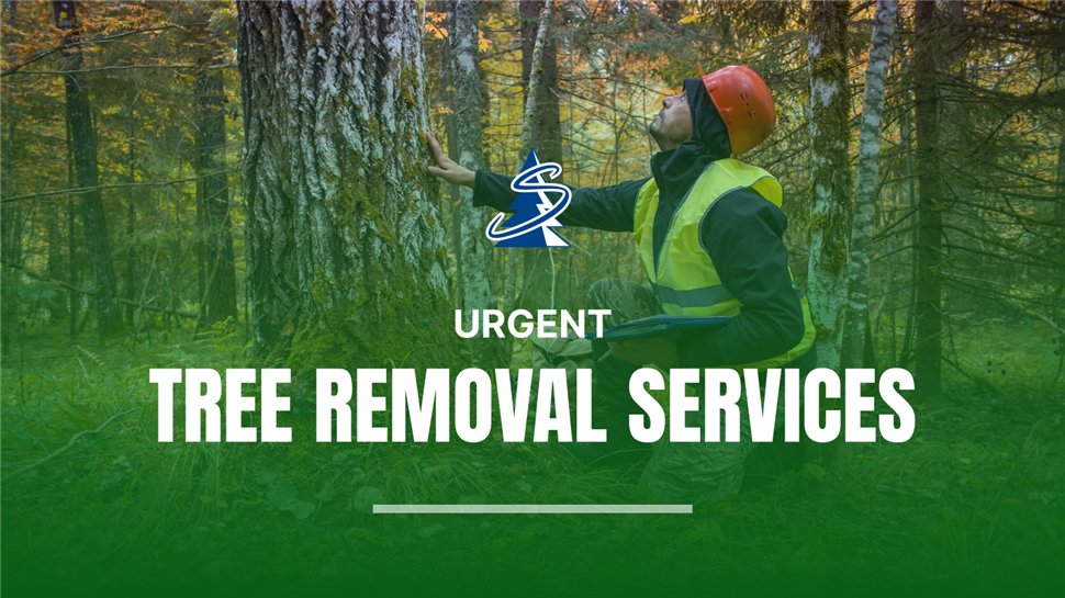 urgent-tree-removal