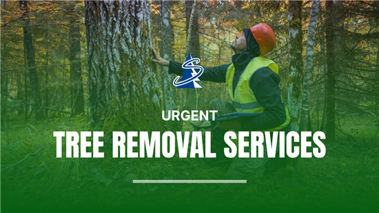 urgent-tree-removal