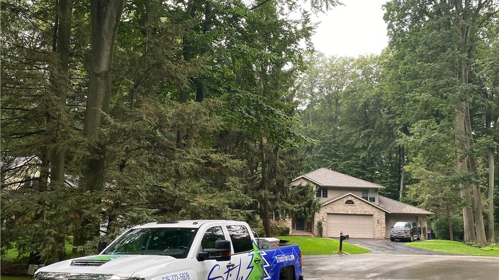 Stump Grinding, Tree Removal, Tree Trimming Project in Grand Haven, MI by Sticks Tree & Trimmings