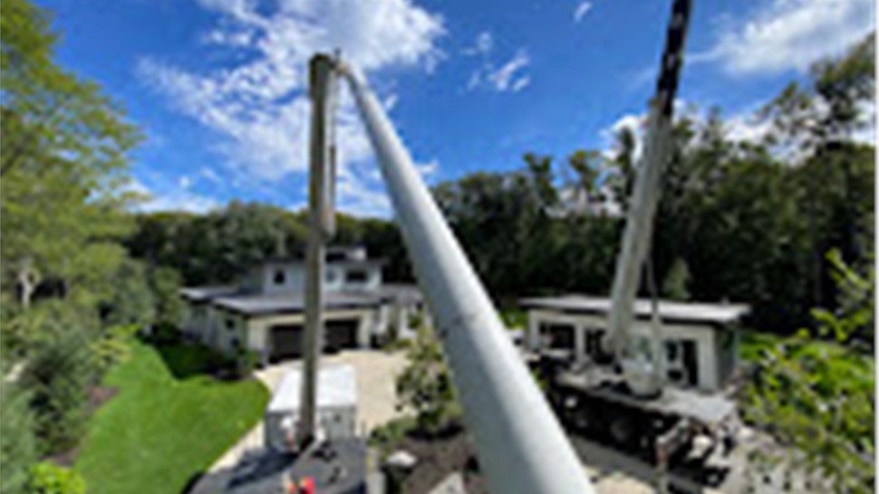 Tree Removal Project in Holland, Michigan by Sticks Tree & Trimmings
