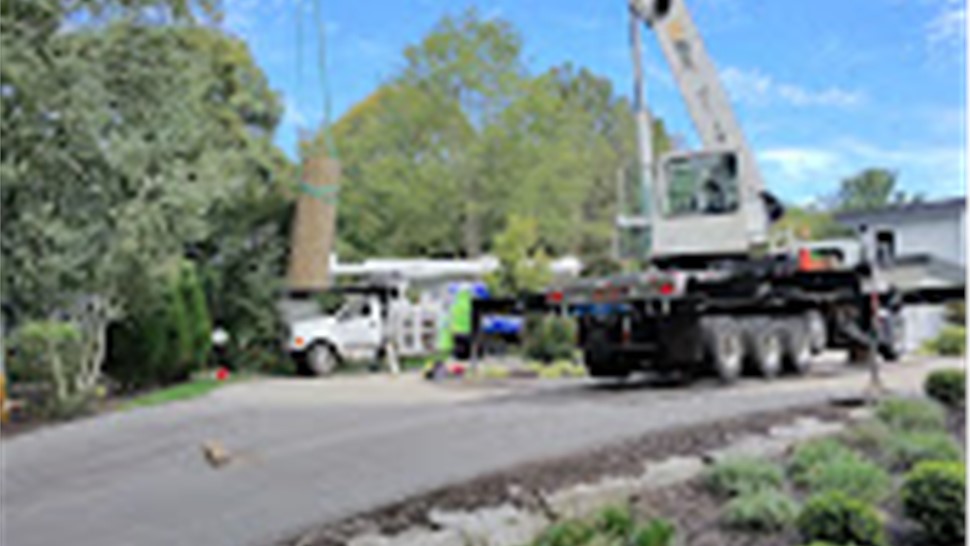 Tree Removal Project in Holland, Michigan by Sticks Tree & Trimmings