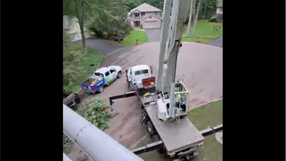 Tree Removal Project in Holland, Michigan by Sticks Tree & Trimmings