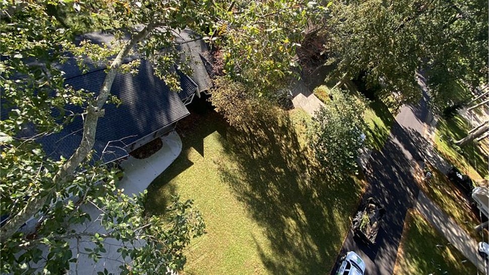 Tree Removal Project in Holland, MI by Sticks Tree & Trimmings