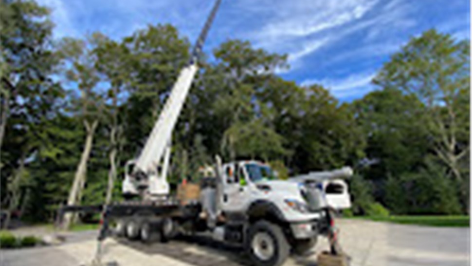 Tree Removal Project in Holland, Michigan by Sticks Tree & Trimmings