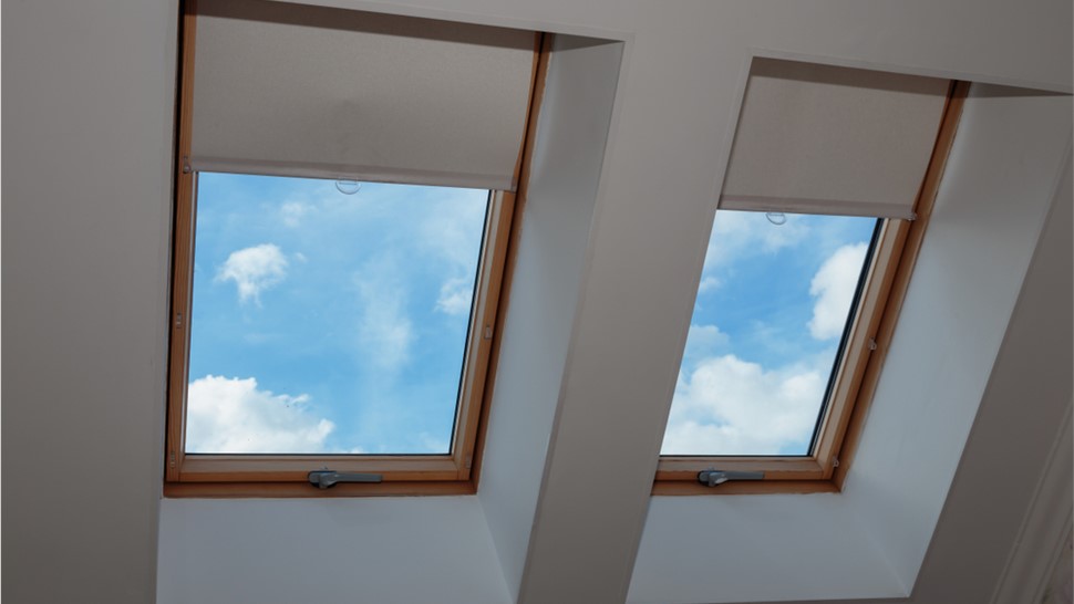 Windows Photo 8
