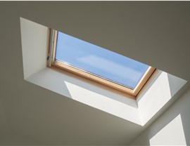 Skylights Photo 2