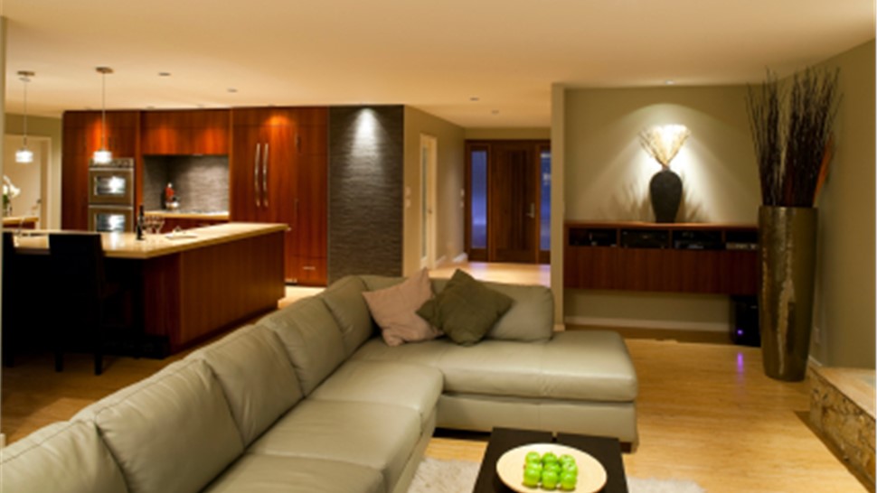 Basements - Basement Design Photo 1
