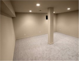 Basements - Basement Ceiling Photo 4