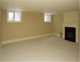 Basements - Basement Ceiling Photo 3