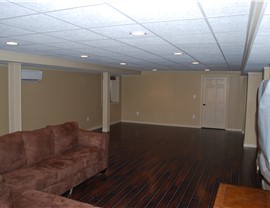Basements - Basement Ceiling Photo 2