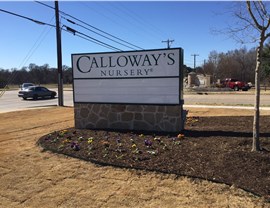 Farmers Branch Photo 3