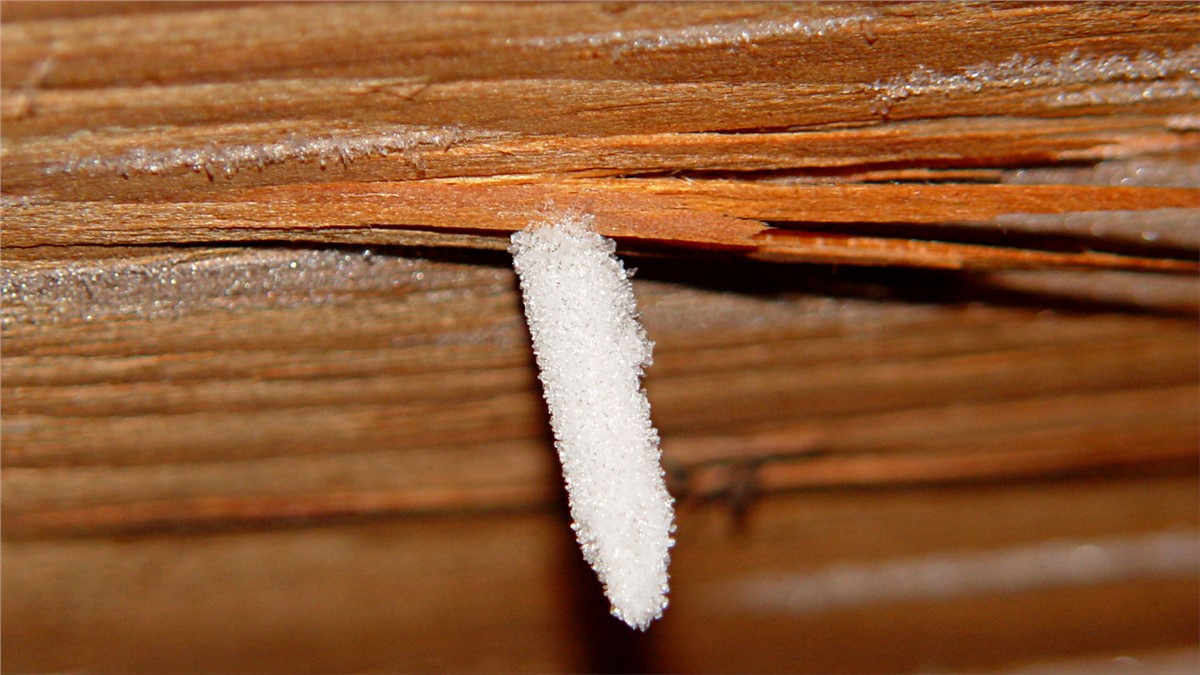 5 Winter Roofing Problems Pittsburgh Homeowners Should Watch For