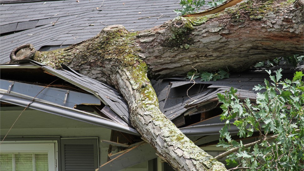 Metro Storm Damage Restoration Photo 1