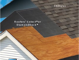 Dope Educational Offer Photo 68