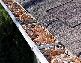Gutter Guards Photo 4
