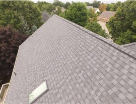 Skylights Photo 3