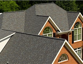 Dope Educational Offer Photo 18