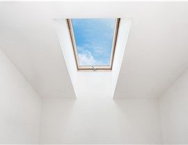 Skylights Photo 2