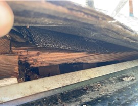 2-Year Old Roof Failure in Norfolk Photo 58