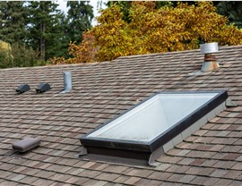 Service Area - Skylights Photo 4