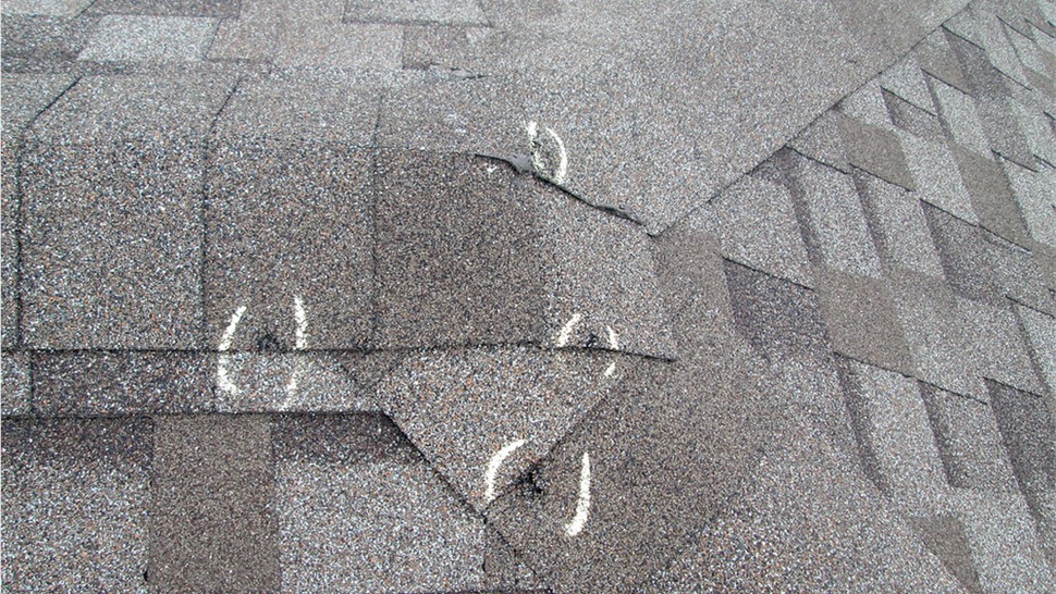 Storm Damage - Hail Damage Photo 1