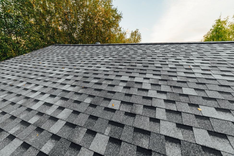 Why Energy-Efficient Roofing Could Cut Your Utility Bills This Year
