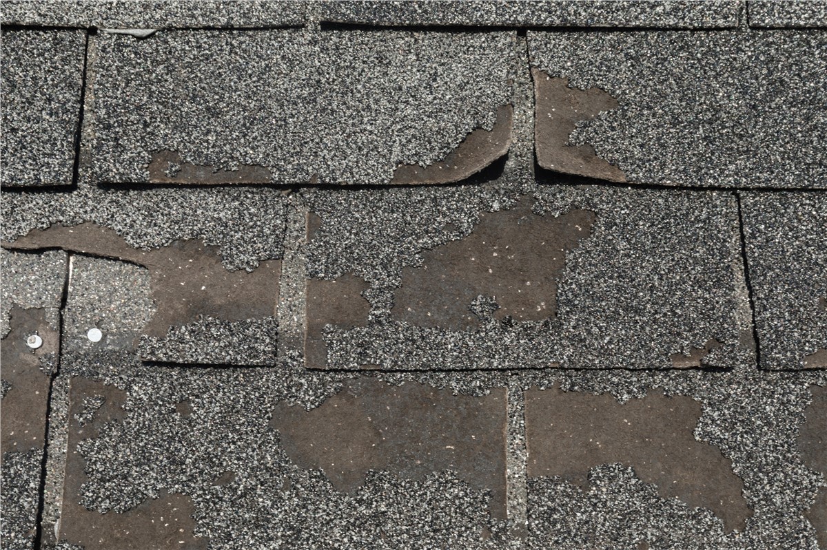 10 Warning Signs You Need a Roof Replacement Before It’s Too Late