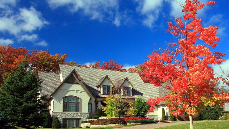 Roof Contractor Photo 62