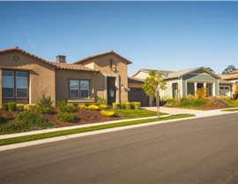 Oakland, CA Photo 67