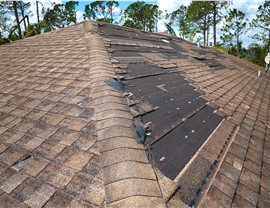Roof Repair Photo 8