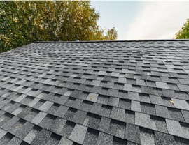 Coming Soon Photo 69