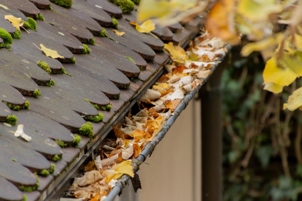 Messy gutters