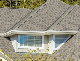 Asphalt Shingles Photo 41