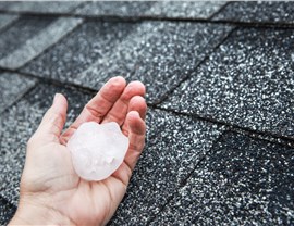 Denver Insurance Claims Photo 2