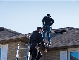 Insurance Claims - Hail Damage Photo 3