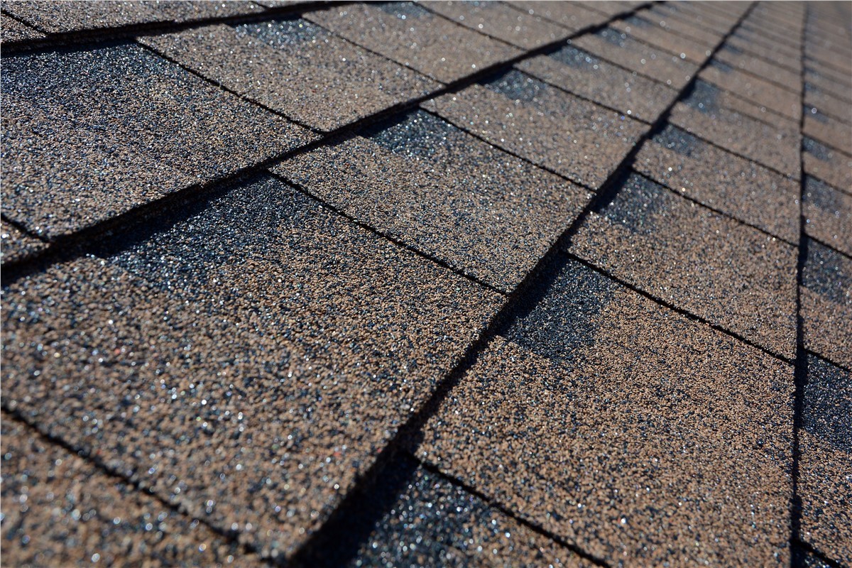 Protect Your Home After Winter with TruHome Pros: Spring Roofing Tips 