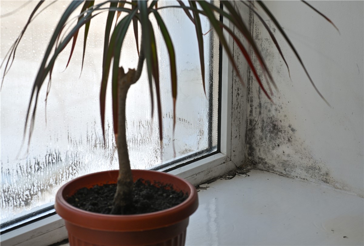 7 Visible Signs It's Time to Replace Your Windows