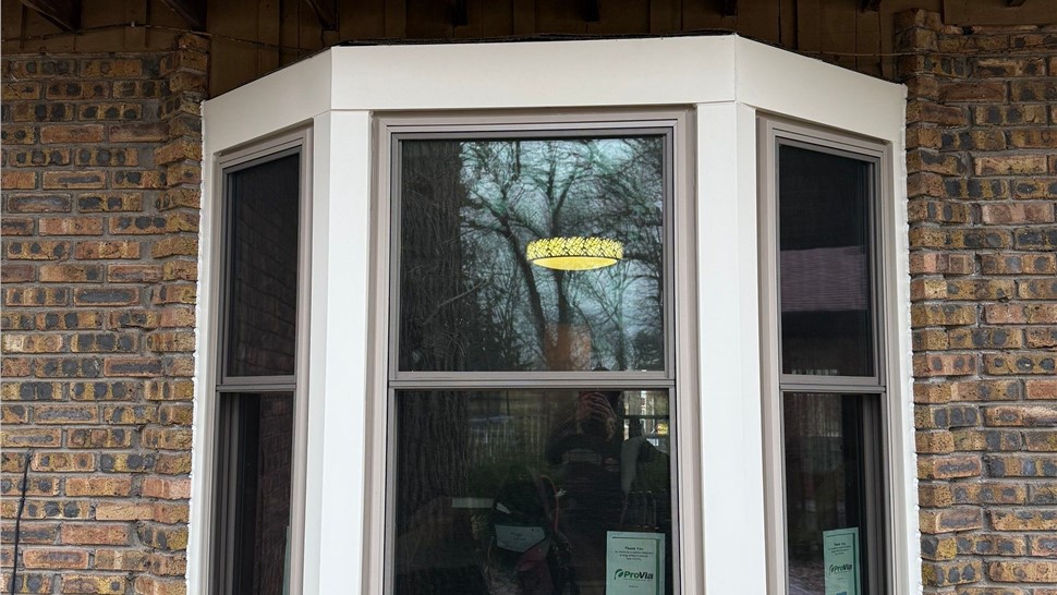Siding, Windows Project in Palos Heights, IL by TruHome Pros