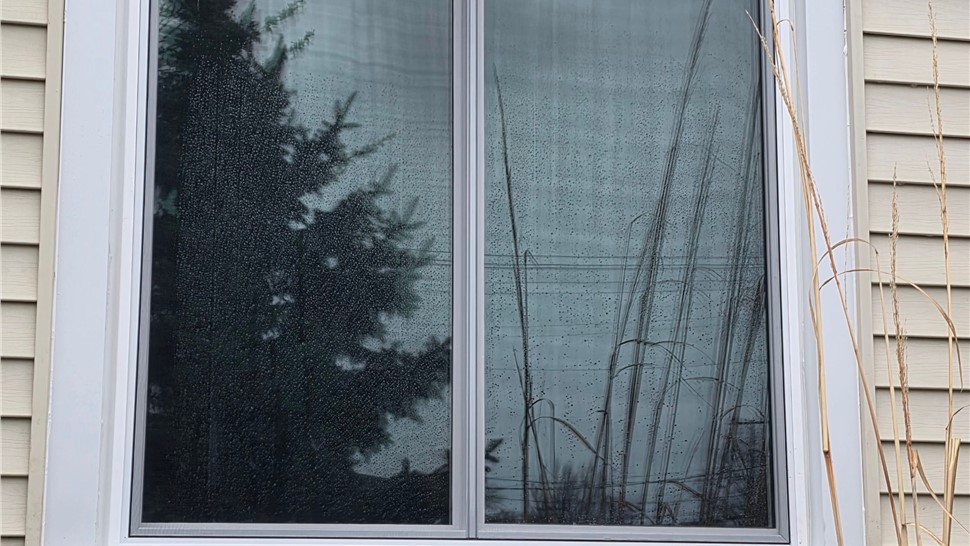 Windows Project in Roseville, MI by TruHome Pros