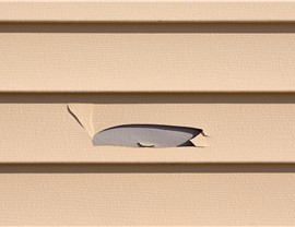 Siding- Repairs Photo 4