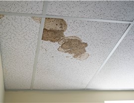 Leaky Roof Photo 4