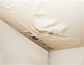 Leaking Roof Repair | Emergency Roof Leak Repairs in Greater Chicago Area