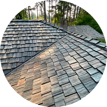 Content Section Image