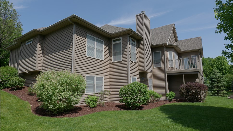 Owens Corner Driftwood